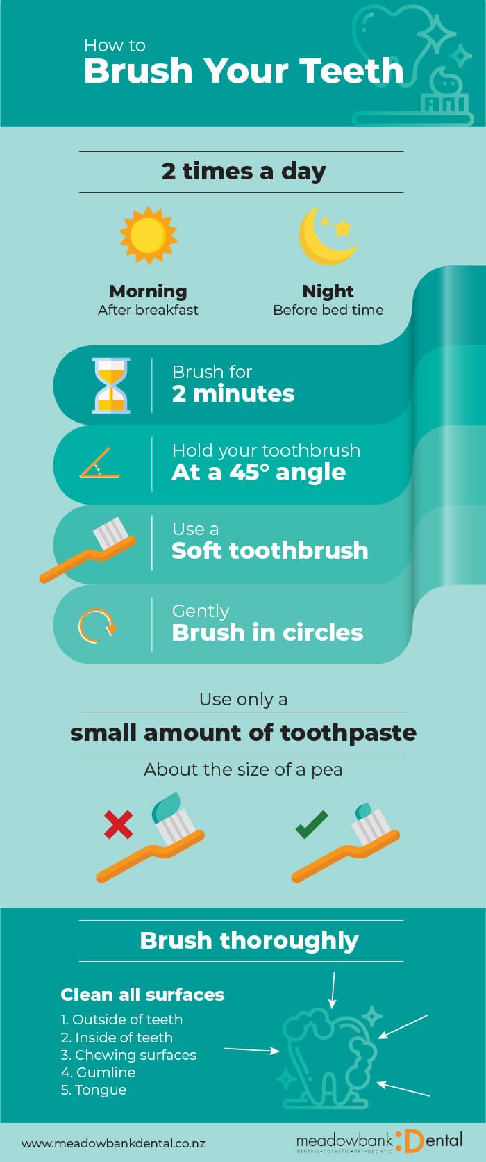 How to brush your teeth infographic - How to brush your teeth correctly